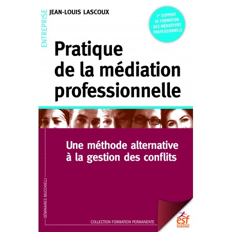 Pratique de la médiation professionnelle